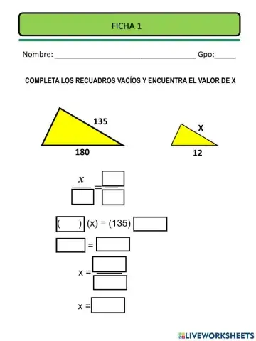 Ficha de semejanza 2