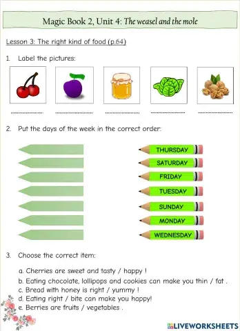 The weasel and the mole Unit 4 L3 Magic Book