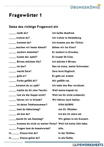 6530137 | W-fragen | Inna Prisikailo | LiveWorksheets