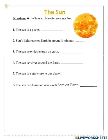 The Sun Live Worksheet