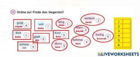 9.sınıf Almanca Kişi tasviri kelmeleri