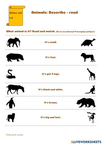 Animals - reading description