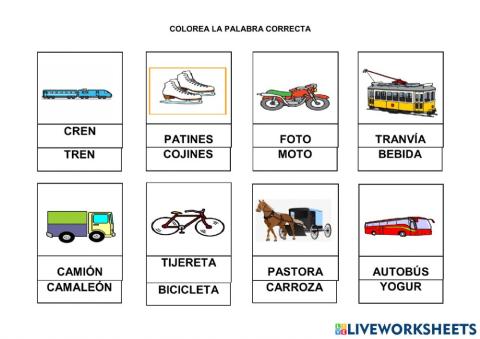 Medios de transportes