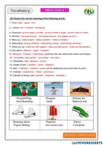 Vocabulary revision Mega 4