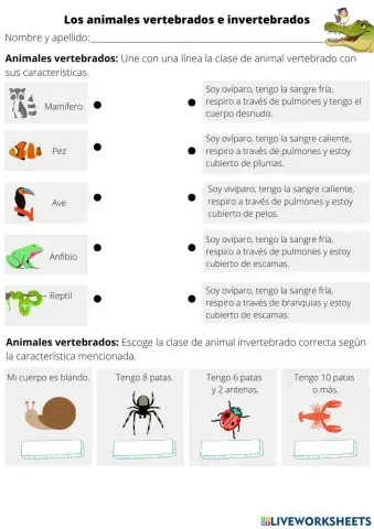 Los animales vertebrados e invertebrados - Segundo básico