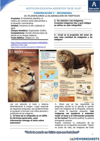 Planificación infografía