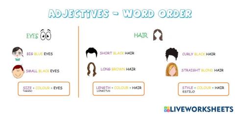 Adjectives - Word order