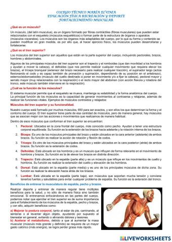 Fortalecimiento muscular