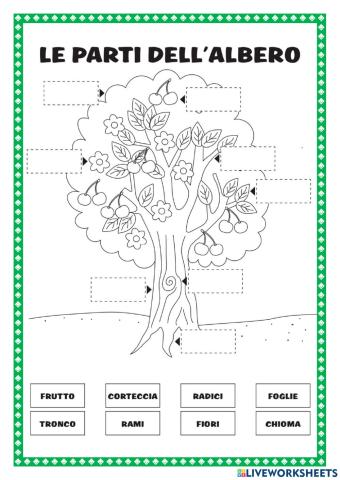 Le parti della pianta