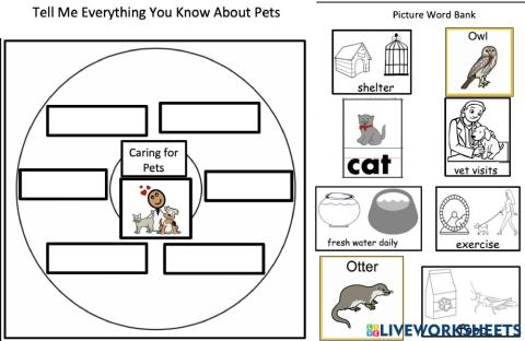 Tell Me Everything You Know About Pets 3