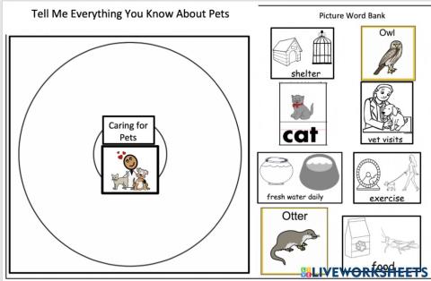 Live worksheets - English  Tell Me Everything You Know About Pets 4