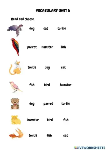 Vocabulary Pets