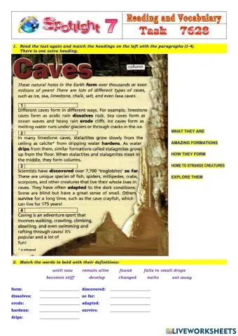 Spotlight 7 Task 7628