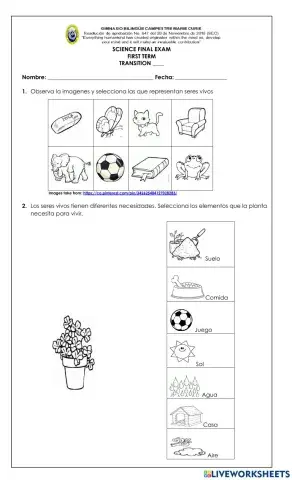 TR- Science Adapted Exam