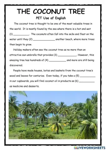 The Coconut Tree PET Reading Exercise