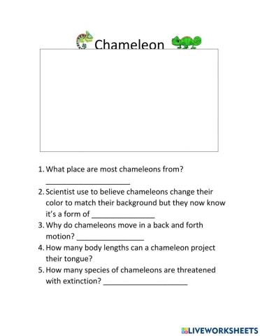 Chameleons