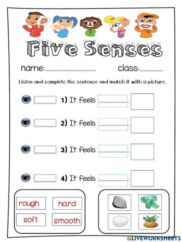 Five Senses-Feel