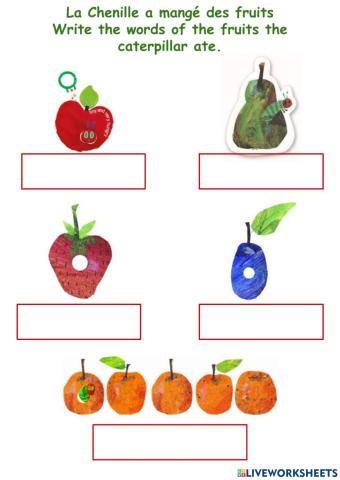 La chenille et les fruits