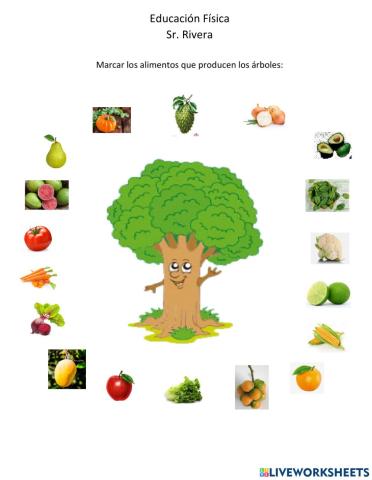 Alimentos de los arboles