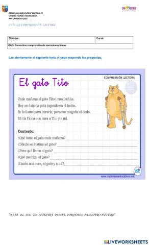 Comprensión de lectura inicial