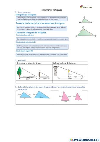 Triángulos semejantes