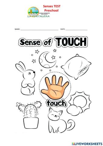 Taste and touch senses