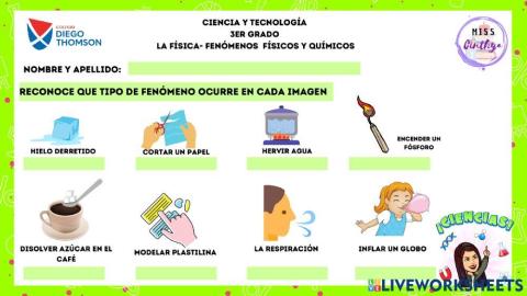 Fenómenos físicos y químicos