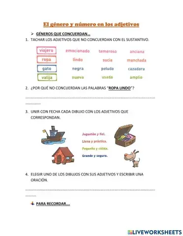 Género y Numero en los adjetivos