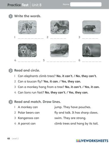 Practice test unit 8 big 2