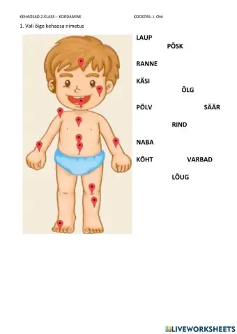 Kehaosad - teadmiste kontroll