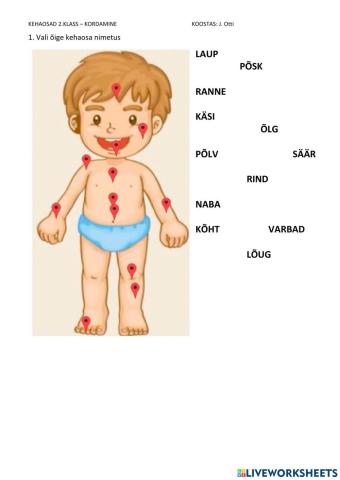 Kehaosad - teadmiste kontroll