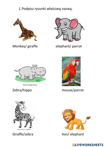 Animals bugs team 1 unit 4