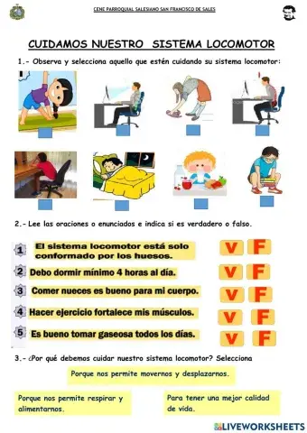 Sfs - cuidado del sistema locomotor