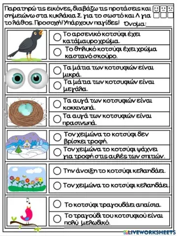 Το κοτσύφι-Ασκήσεις κατανόησης