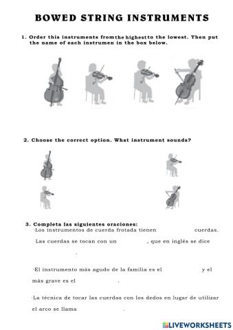 Bowed string instruments