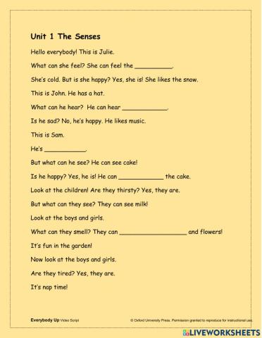 Video script - the senses