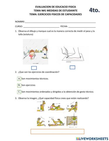 Evaluación educación física