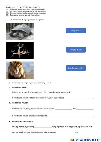 Bab 6: sokongan, pergerakan dan pertumbuhan