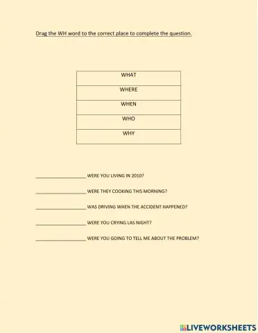 wh questions past continuous