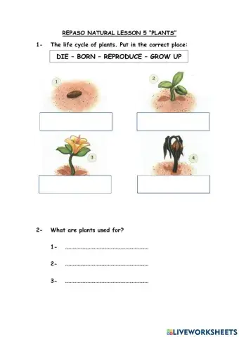Repaso Natural Lesson 5