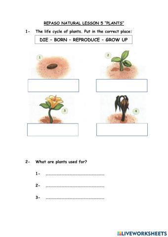 Repaso Natural Lesson 5