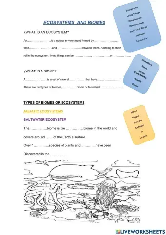Biomes and ecosystems