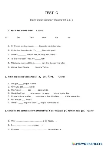 Insight Elementary Welcome Unit. C, D, E TEST