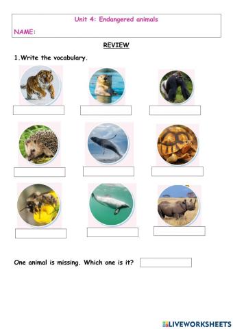 Endangered animals HEROES