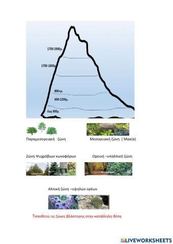 Ζώνες βλάστησης