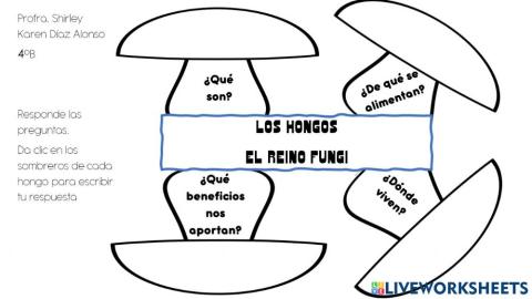 Los hongos
