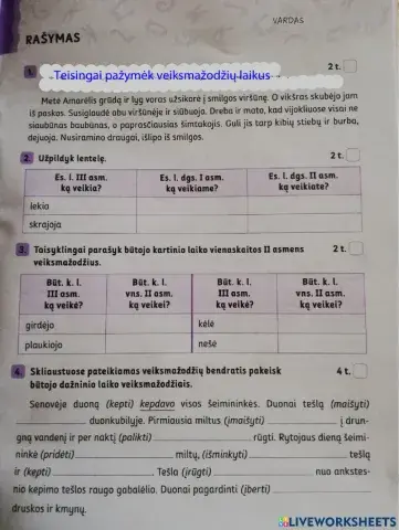 Rašymo testas 4 kl.