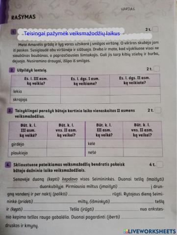 Rašymo testas 4 kl.