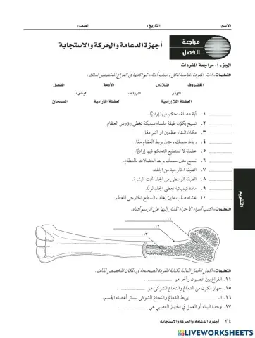 الجهاز العصبي والجهاز الهيكلي