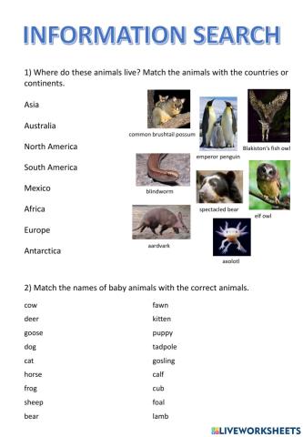 Information search - animals and athletes